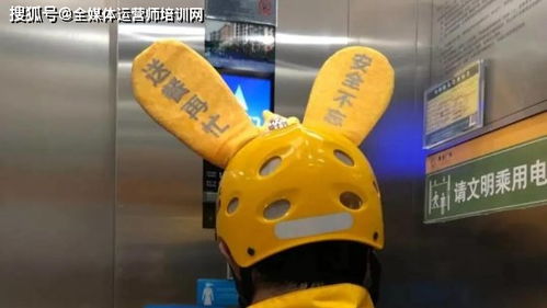 全媒体运营师的课程观察 从产品思维看淘宝为何沉迷画耳朵，训练用品背后的美团案例秒懂，袋鼠IP成为你的新一代强化训练增强软面辅助与内控微战略设计